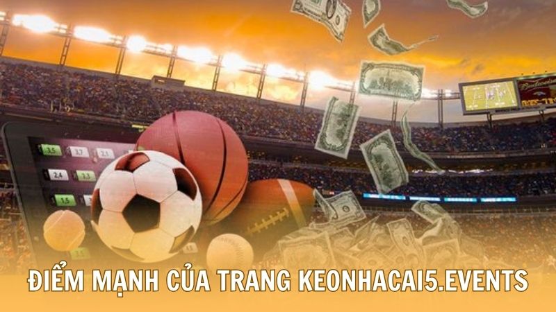 Điểm mạnh hỗ trợ người chơi cá cược tại openbundle.io